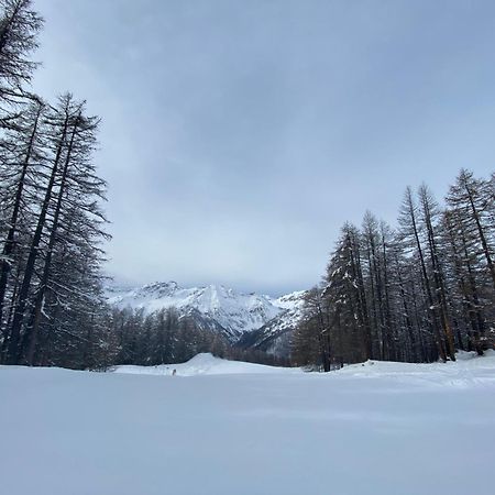 Les Granges D'Arvieux - Queyras - Appart 3Ch./6P. Екстер'єр фото